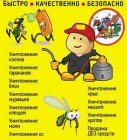 ООО 